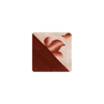 CO033 Coral