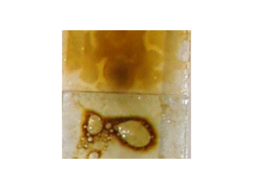 Esmalte fusing Âmbar – 800.C