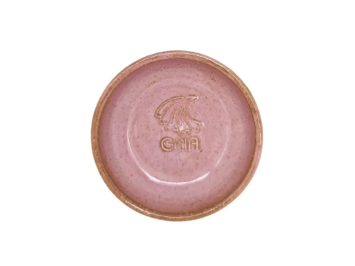 RP09 Esmalte Pitaia reagente Gaia – 1240.C