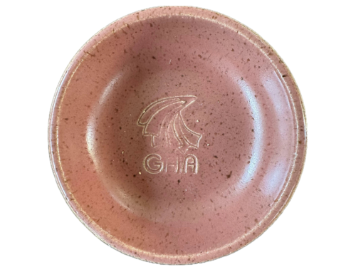 AP22 - Esmalte Begonia Acetinado Gaia- 1240.C